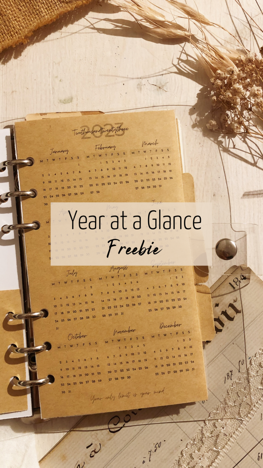 Year at a glance insert for ring planner for free